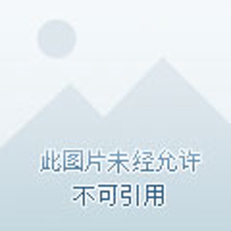 美国签证被拒签的影响与应对策略